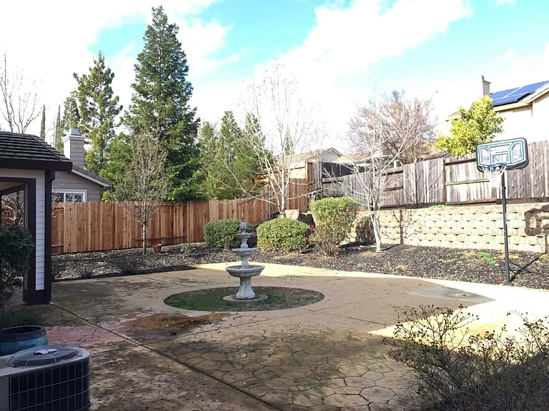 Back yard