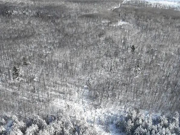 XX Clover Spur ln, Winter, WI 54896