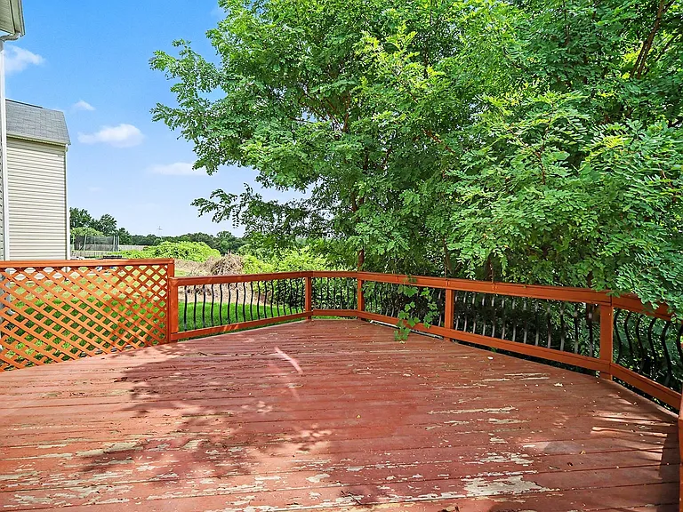 4937 Broad Leaf Ct — Photo 23