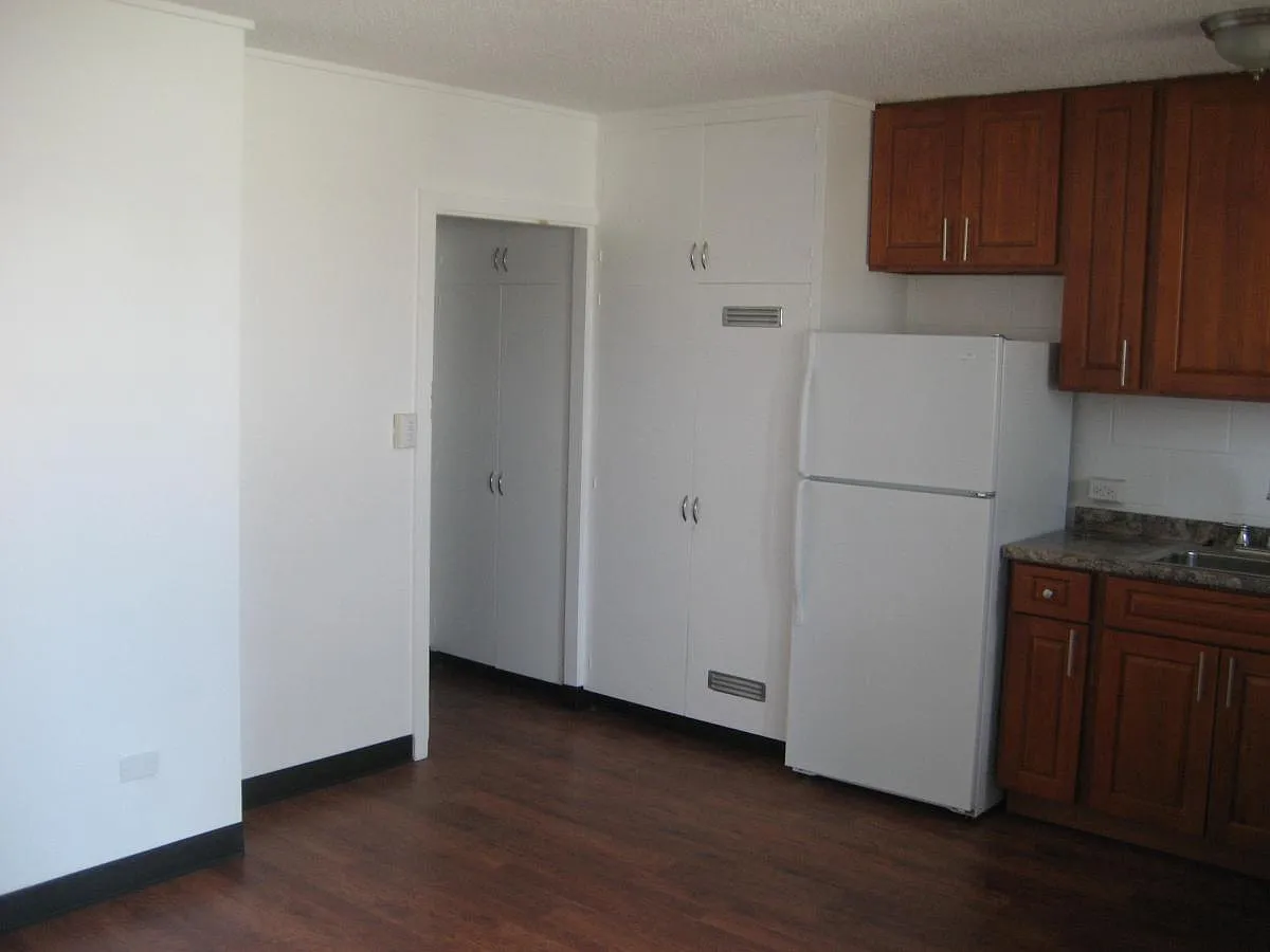 1 bed, 425 sqft, $1,450 — Photo 4
