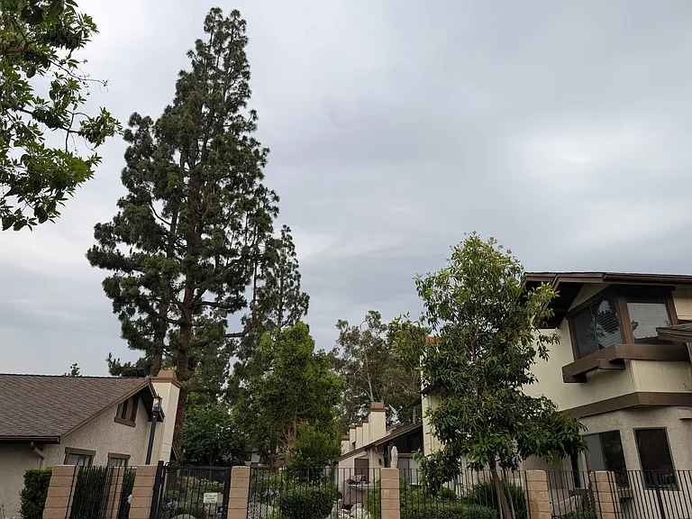 1419 Poseidon — Photo 2