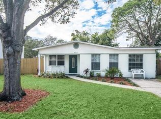 4313 S Cameron Ave, Tampa, FL 33611