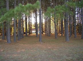 2nd image of 6251 Mahlon Ct