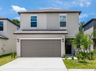 7335 Spring Snowflake Ave, Tampa, FL 33619
