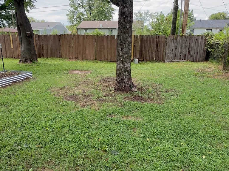 718 E Beaver St — Photo 7