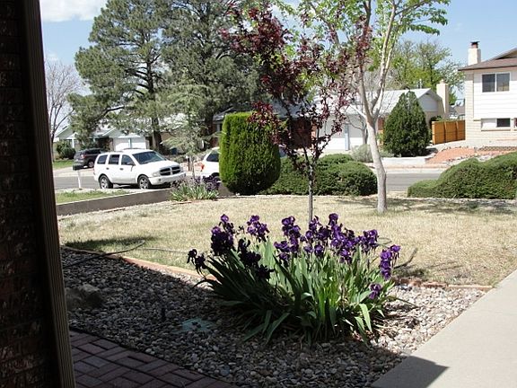 DSC06983 (640x480)_04152015