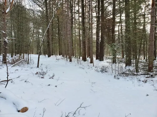 0 N Centerline Rd, Brohman, MI 49312