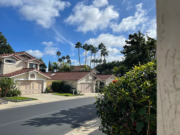 7110 Caminito Zabala — Photo 15