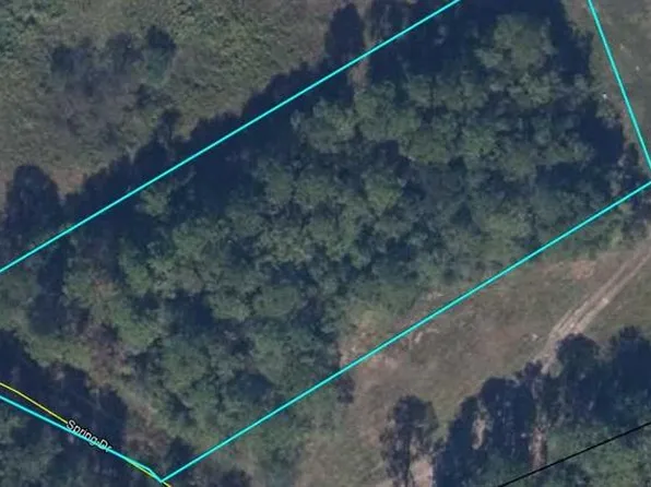 Spring Dr, Middleburg, FL 32068