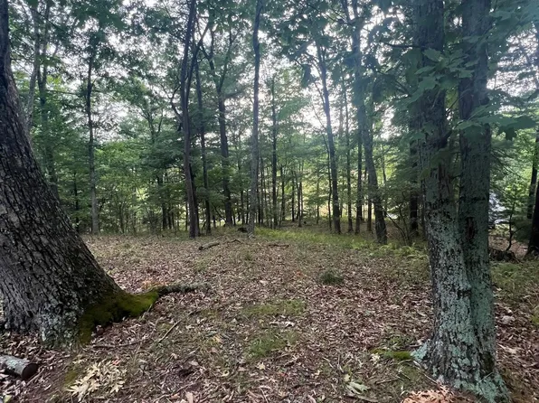 8 N River Rd, Augusta, WV 26704