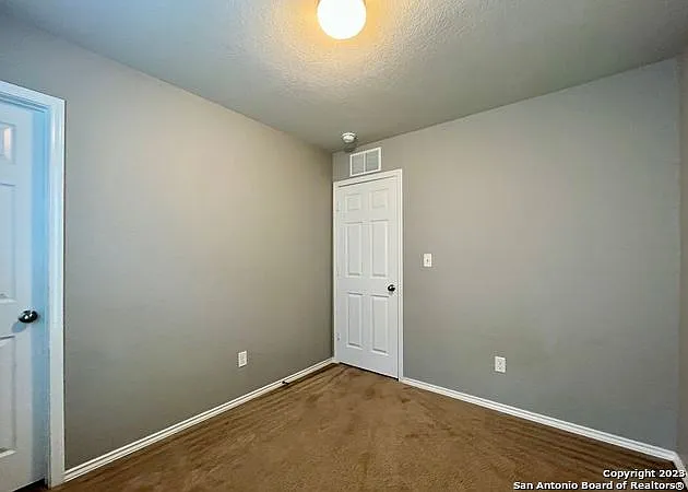 11331 Pink Star — Photo 30