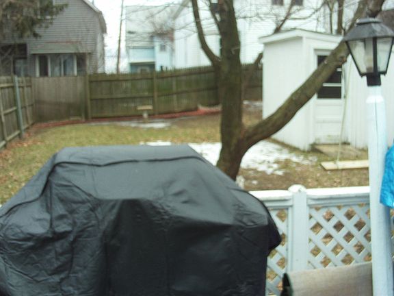 Large fenced in back yard