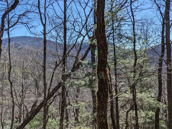 LOT 111 Ridgepole Dr, Dillard, GA 30537