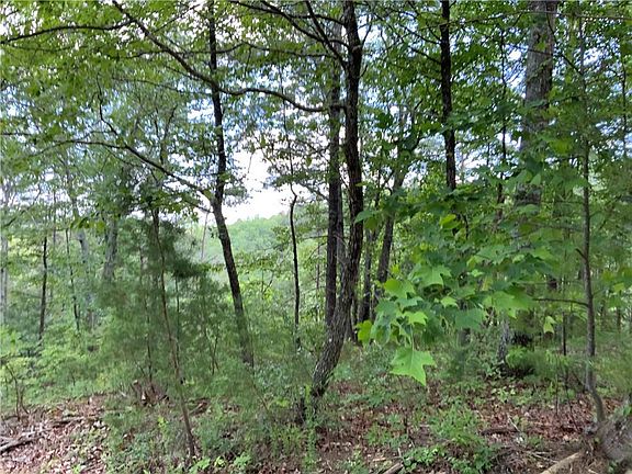 5th image of 1335 Birch Ln #1335