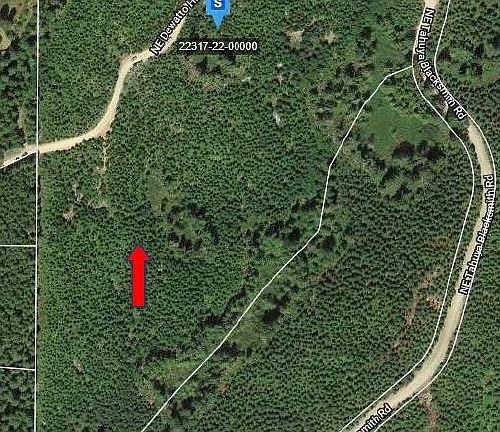 North property line is Dewatto Hills Road. Talbot Forest to south and east
