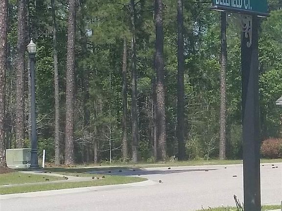 4th image of 3007 Bellfield Ct. Lot 163