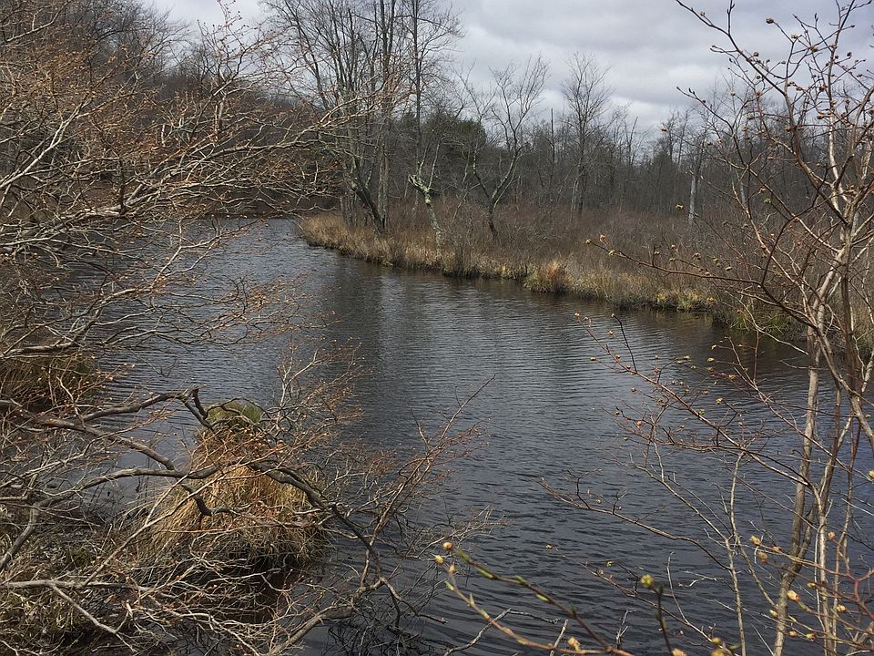 2nd image of 2296 Lakeside Dr