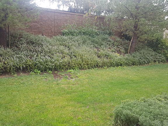 2nd image of 10400 Meadow Lark Ave