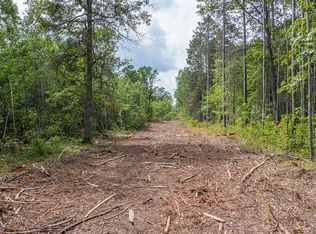 TRACT C Polaris Ln #TWP, Merrifield, MN 56465