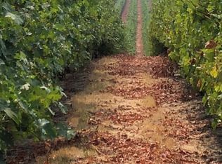 23500 N State Route 88 Hwy, Clements, CA 95227