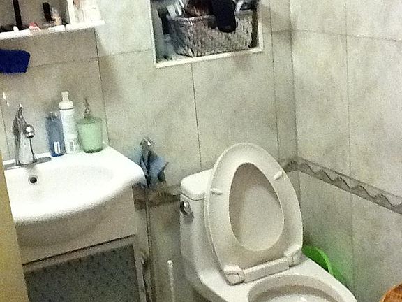 Bathroom wall