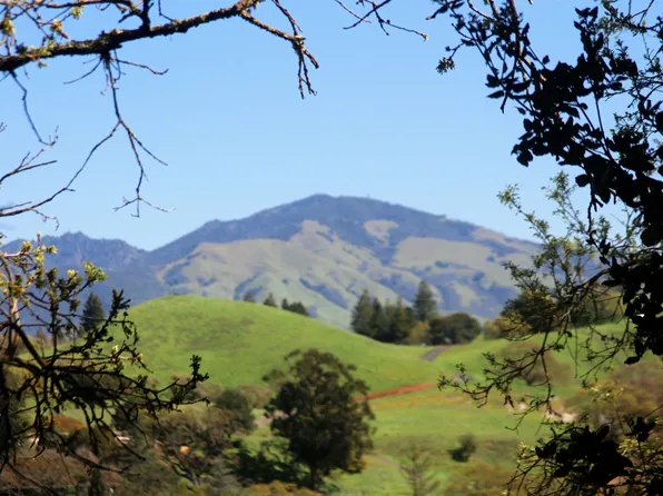 0 Carlyle Ter, Lafayette, CA 94549