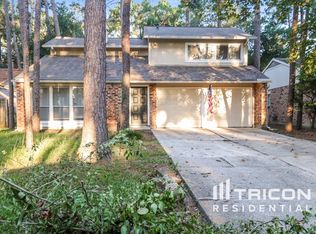17 Marabou Pl, Spring, TX 77380