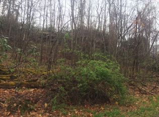 00 Irish Heights Rd, Summersville, WV 26651