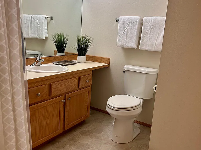 Main bathroom with tub/shower combo.