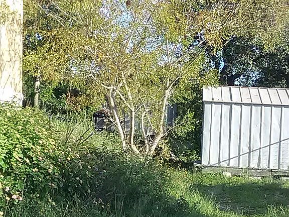5th image of 940 Nakoosa Dr