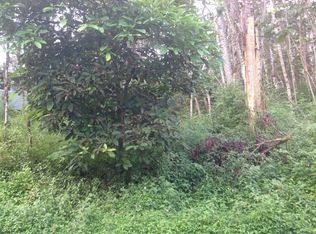 Lehua Rd LOT 184, Pahoa, HI 96778