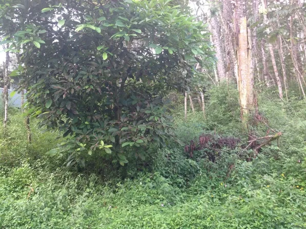 Lehua Rd Lot 184, Pahoa, HI 96778