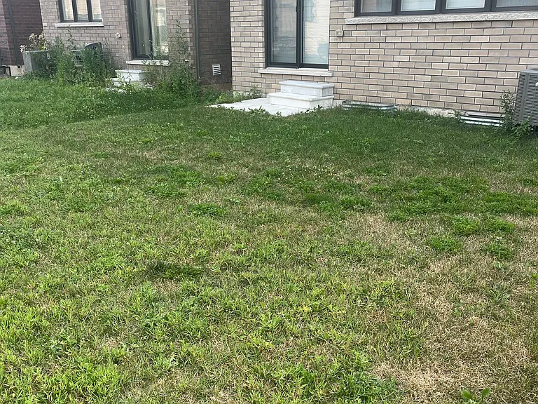 65 Concord Dr — Photo 20