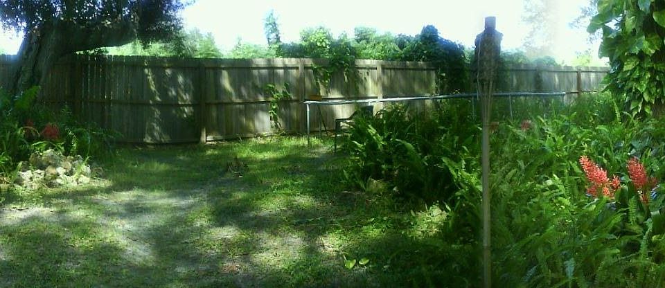 back yard in 2008