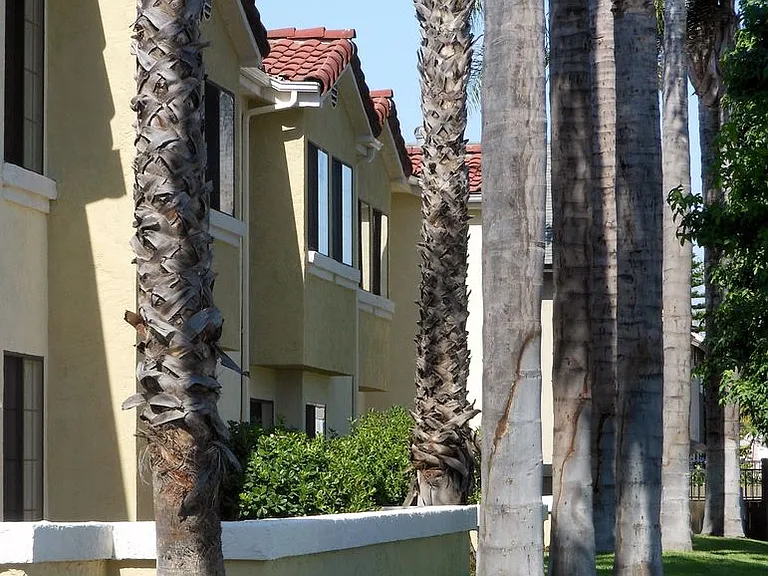 Los Olivos Apartments — Photo 36