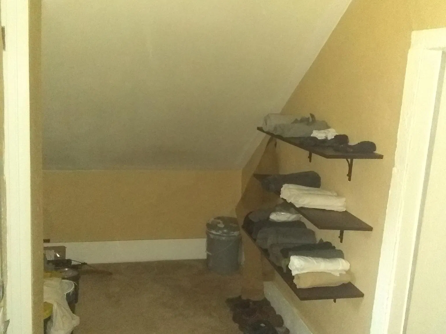 1 bed, $795 — Photo 4