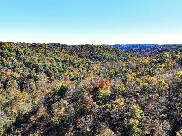 0 Big Creek Rd, Crown City, OH 45623