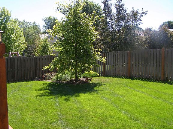 Mature trees and privacy fence