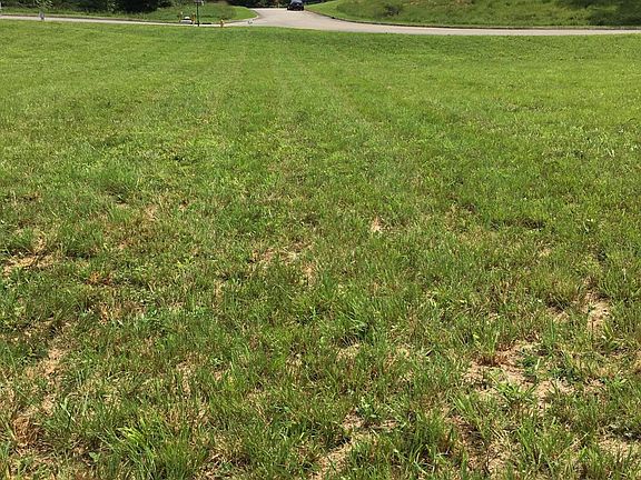 2nd image of 167 Scarlet Oak Way Lot 17