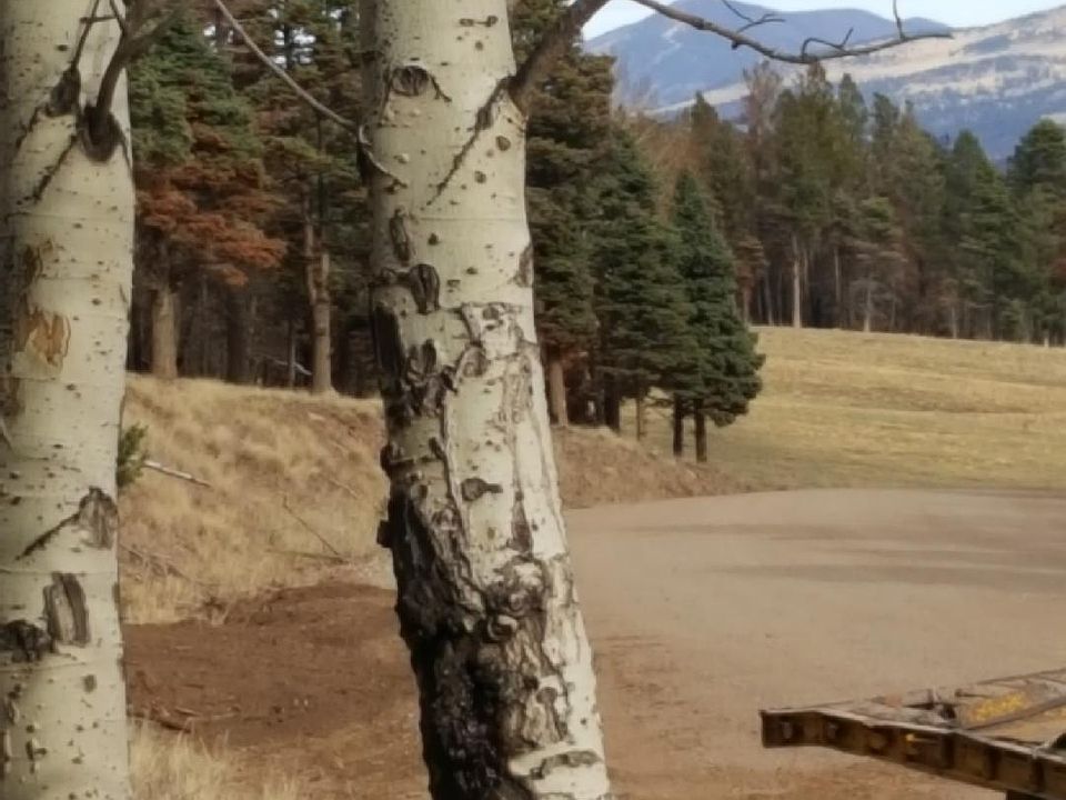 2nd image of 2050 Forbes Rd