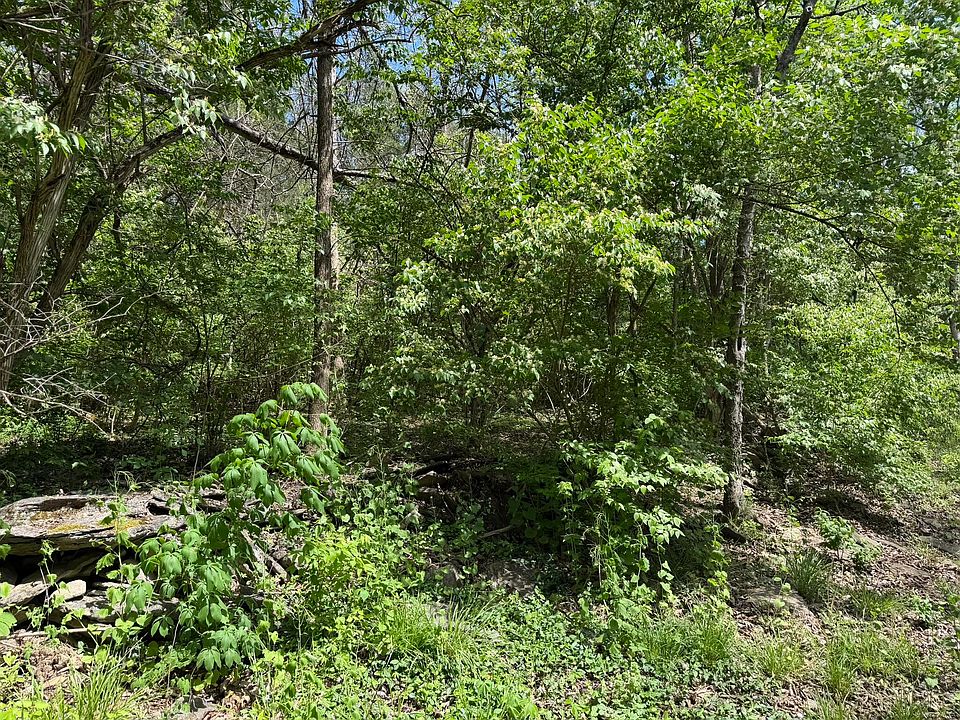 2nd image of 1 Marble Creek Ln