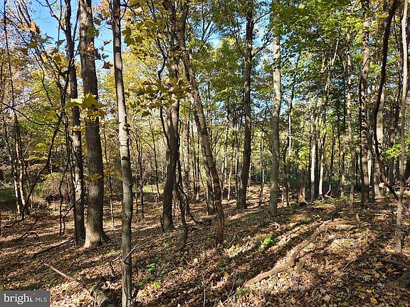 5th image of 0 Black Walnut Rd