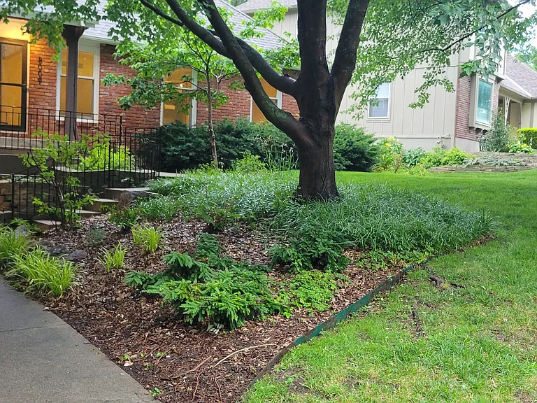 8009 Rosehill Rd — Photo 4