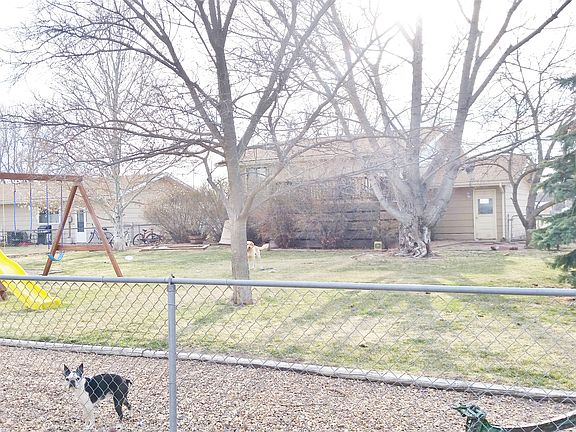View of the large backyard