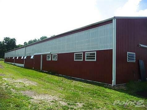 Side of Stable