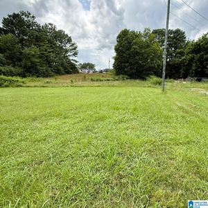202 Johnson Landing Rd #1, Valhermoso Springs, AL, 35775