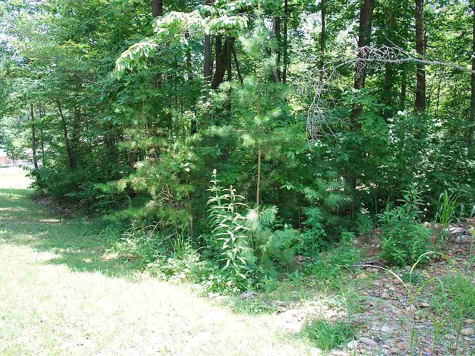 1st image of 11 Beech Ct Lot 11