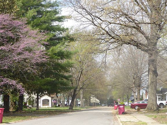 5th image of 722 Vernon Ave