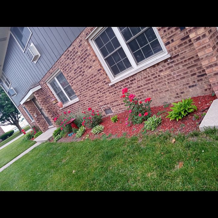 2nd image of 529 Hauert St APT 4
