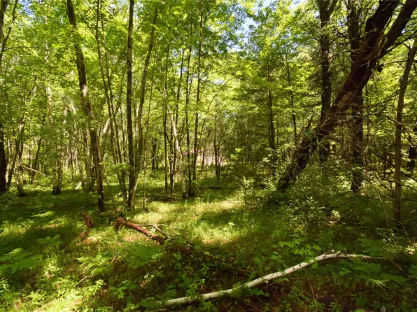 25227 Kruger Rd, Webster, WI 54893
